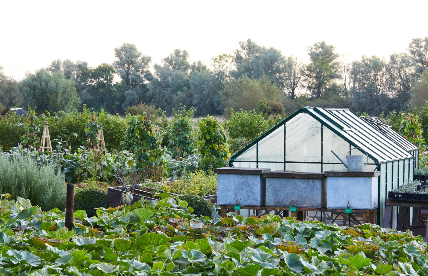 Kitchen Garden Interiors
