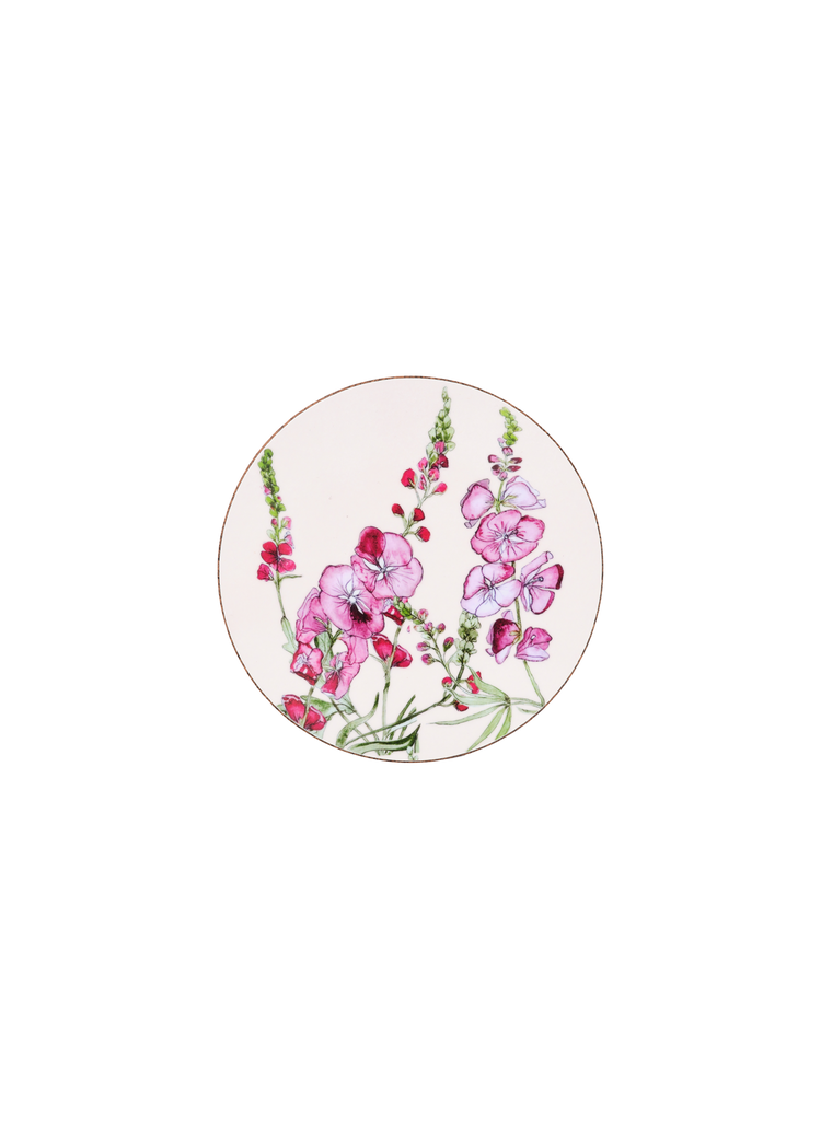 Sidalcea Coaster
