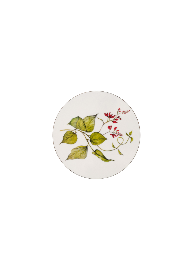Single Bean Coasters