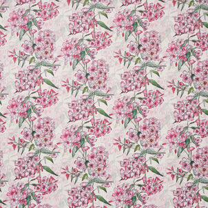 Pink Phlox Rows Wallpaper