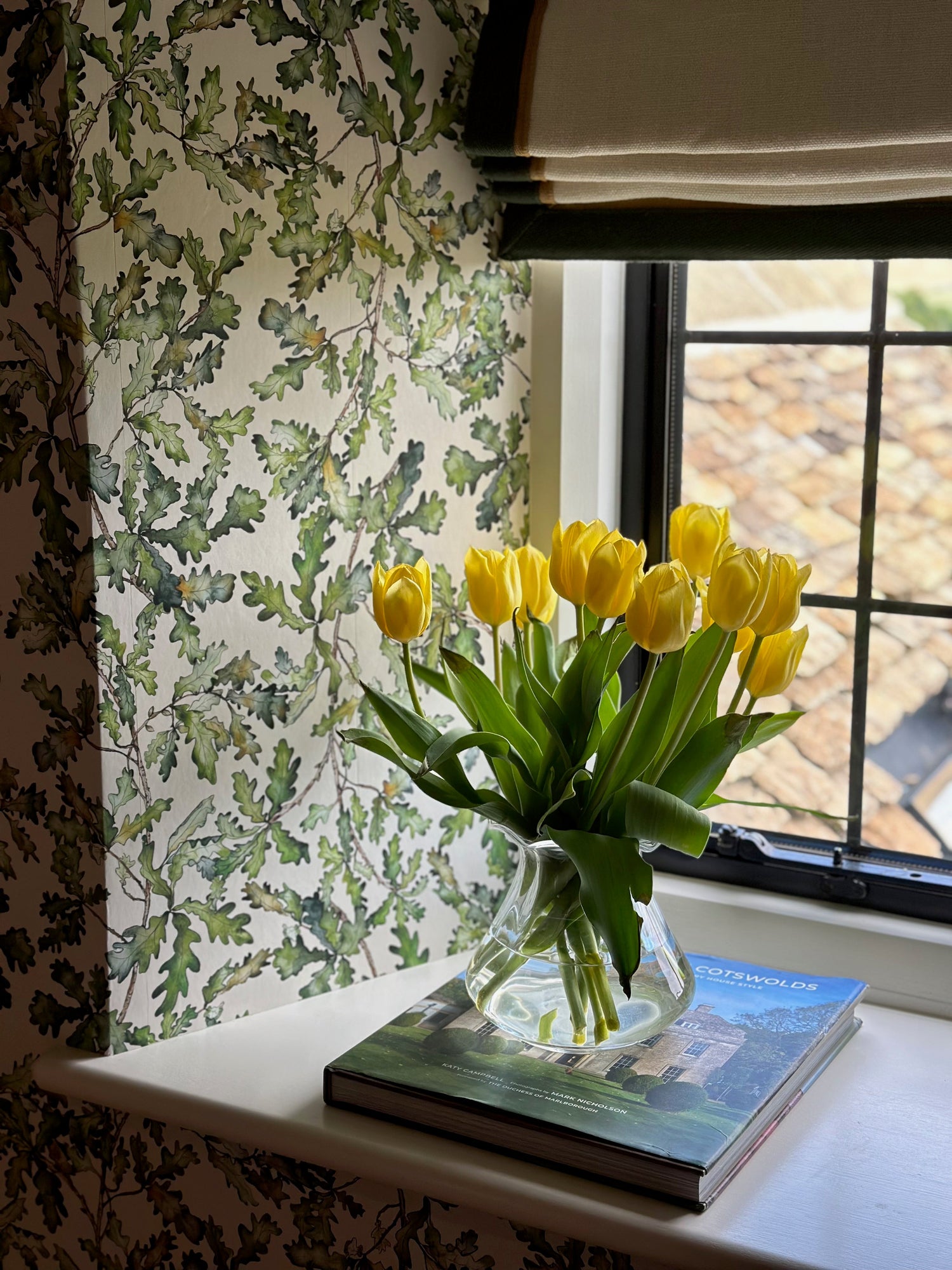 Oak Leaf x Antonia Stewart