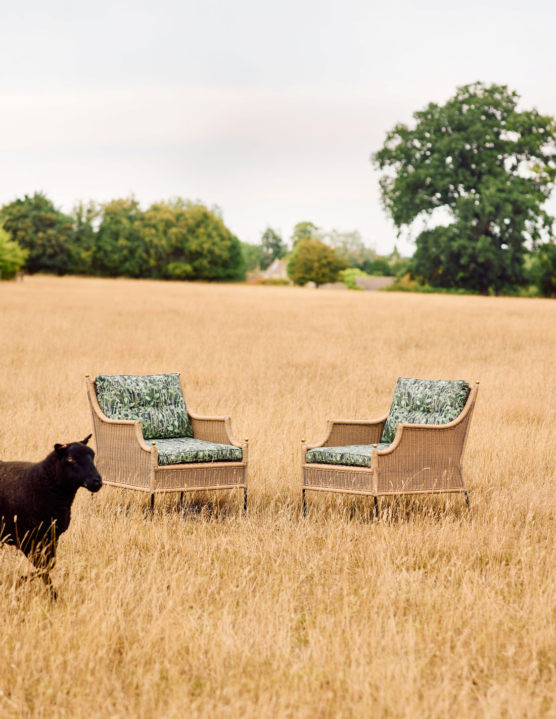 Bertioli x Munder Skiles