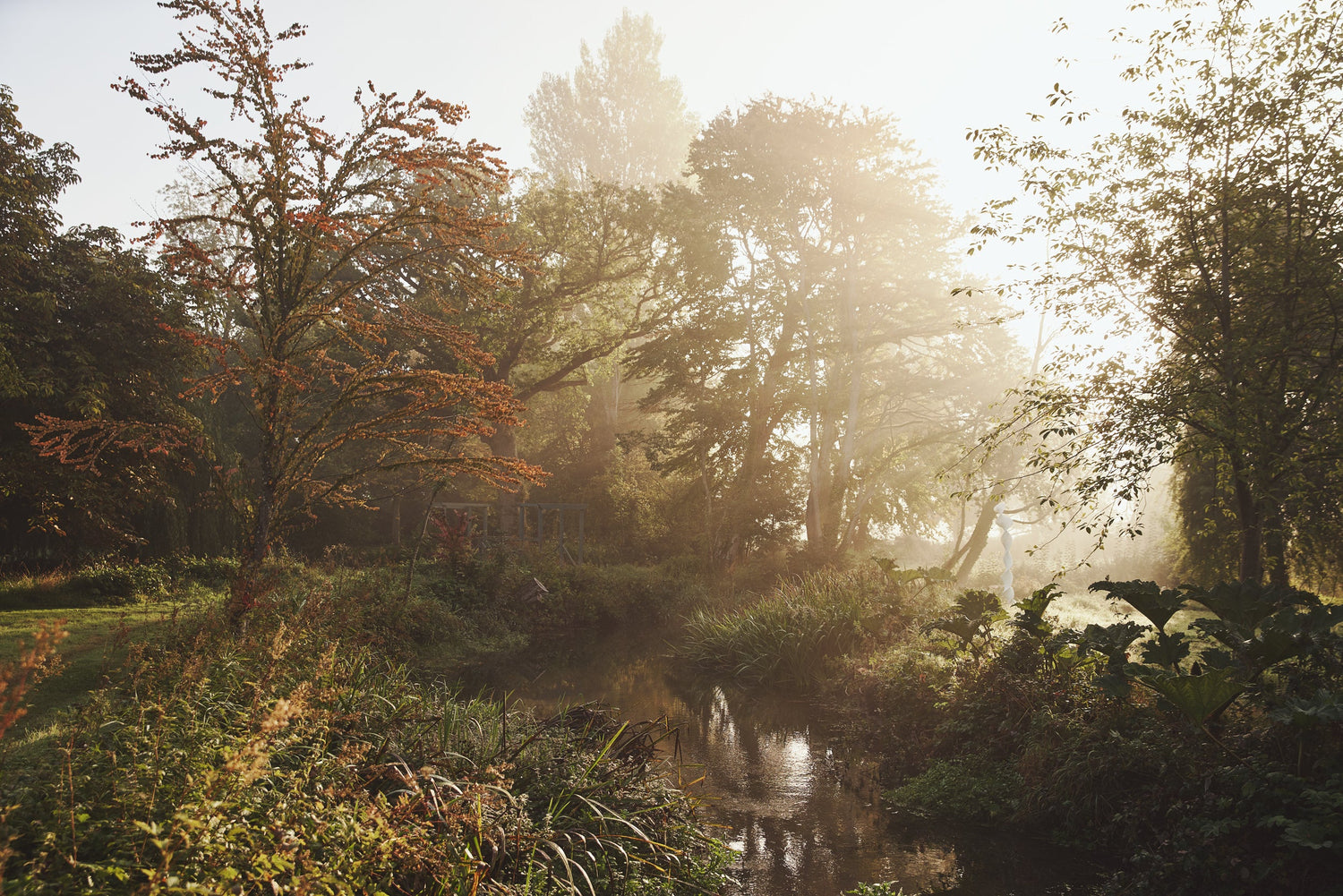 Woodland