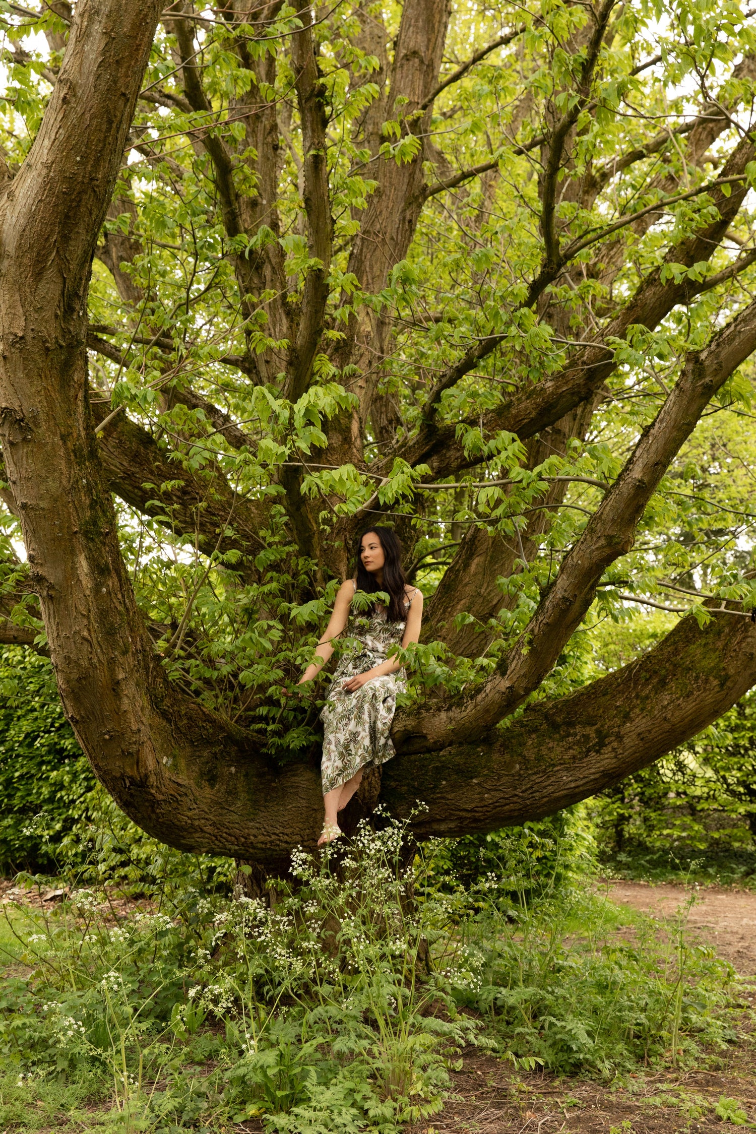 Woodland Lifestyle