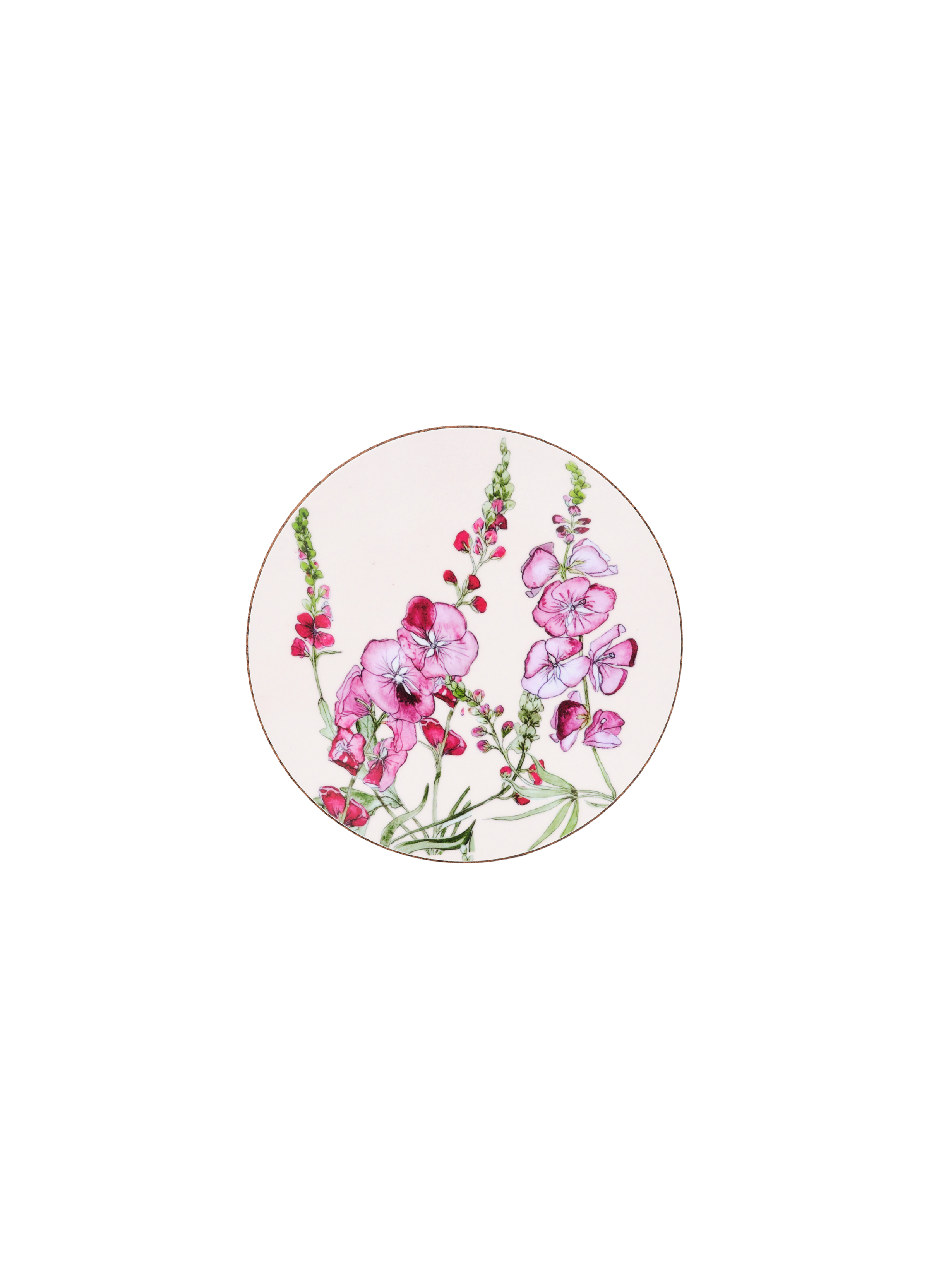 Sidalcea Coaster