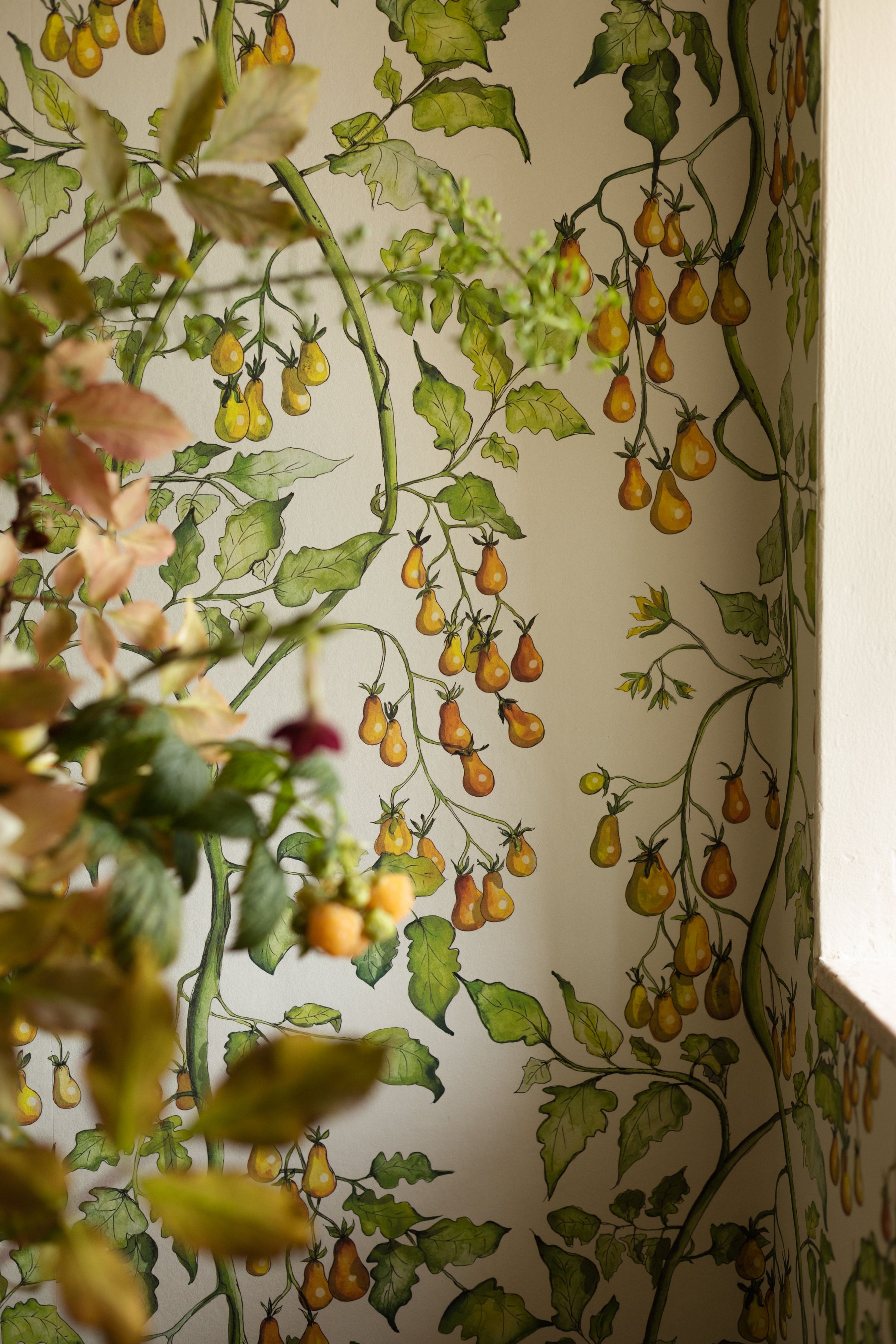 Yellow Tomato Vine Wallpaper