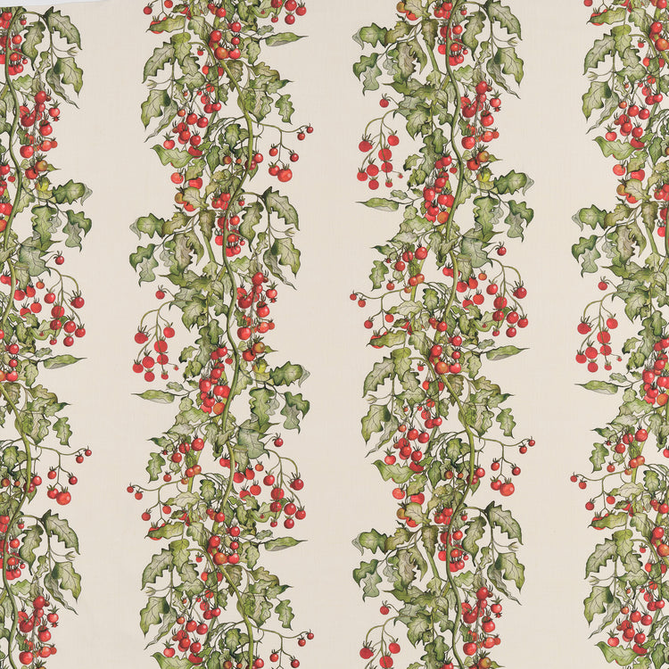 Tomato Vine Stripe Fabric