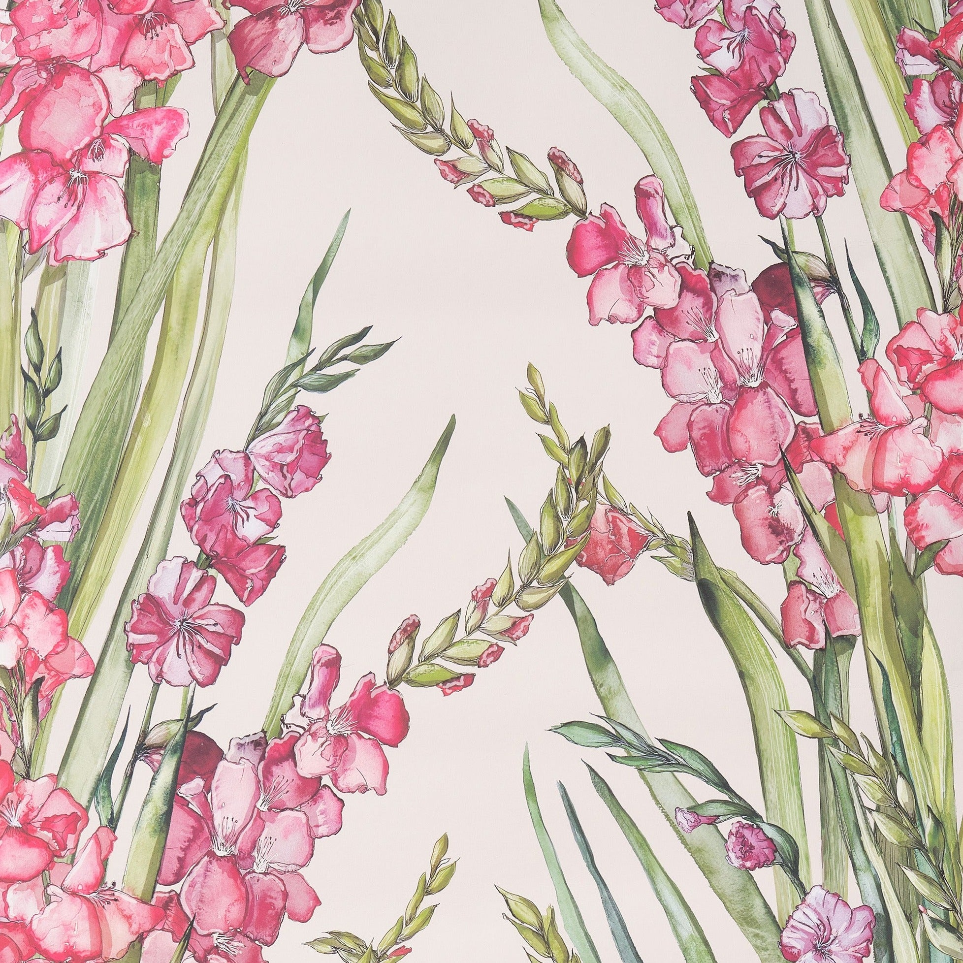 Gladioli Wallpaper
