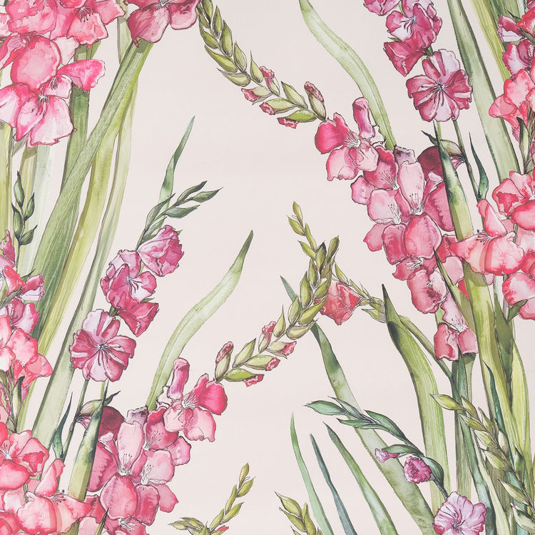 Gladioli Wallpaper