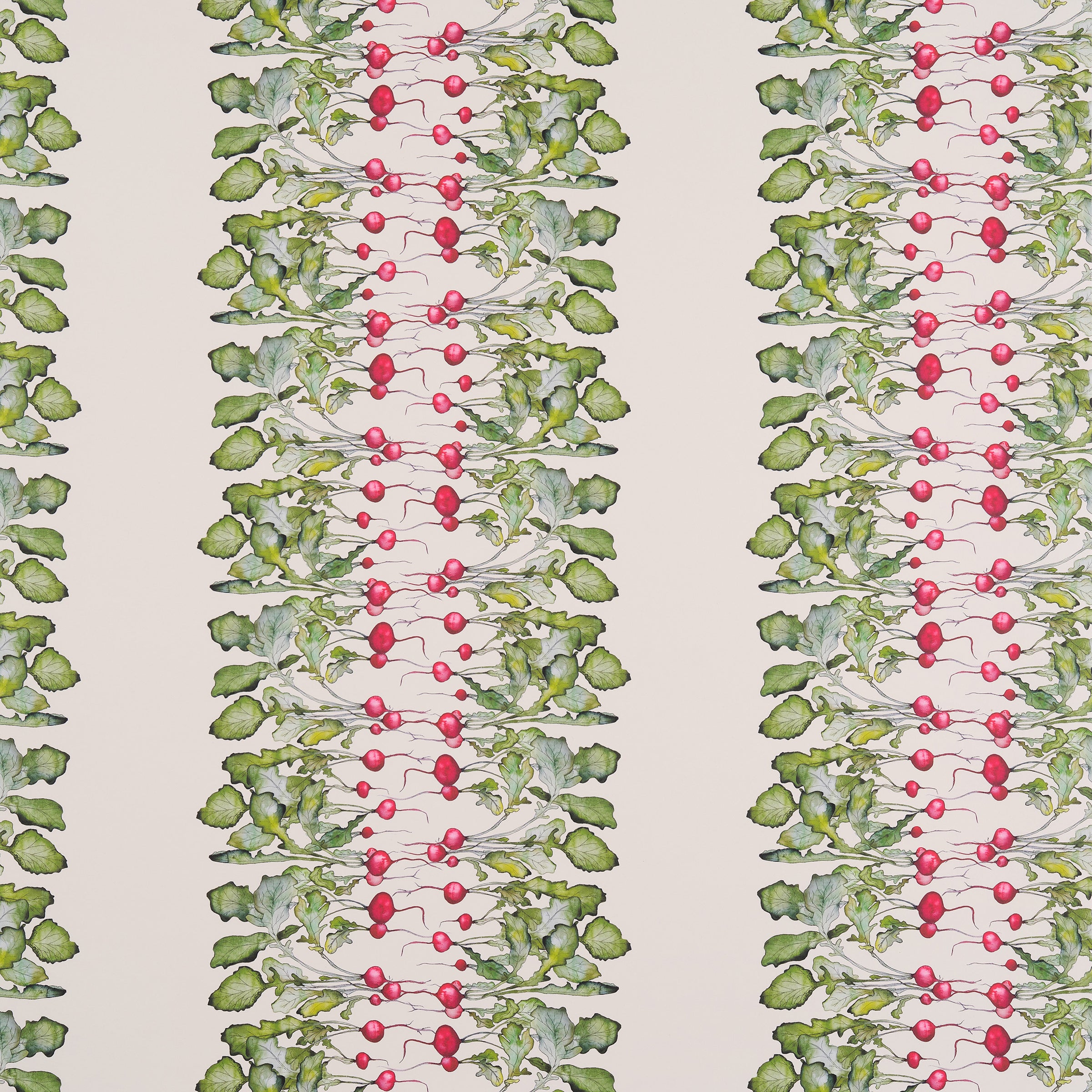 Radish Stripe Wallpaper