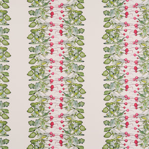Radish Stripe Wallpaper