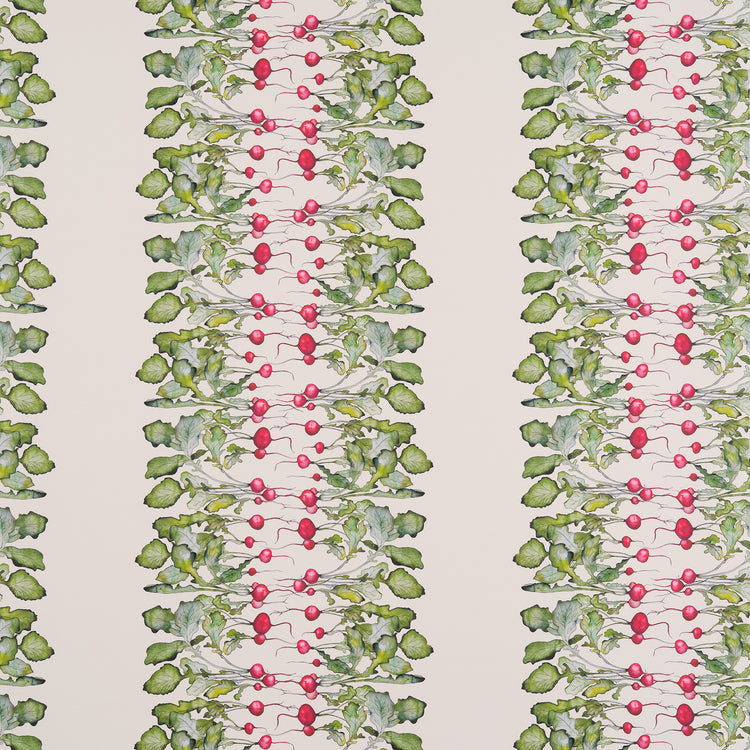 Radish Stripe Wallpaper