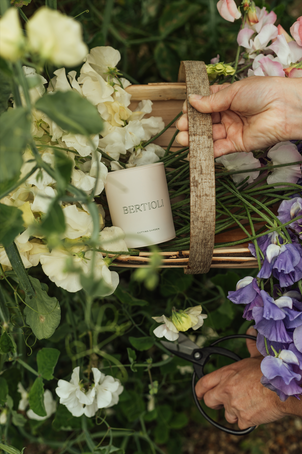 Cutting Garden Single Wick Candle 145g