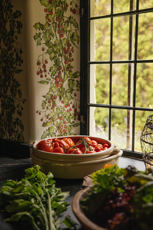 Tomato Vine Stripe Fabric