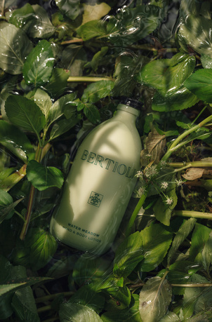 Water Meadow Hand & Body Lotion 500ml