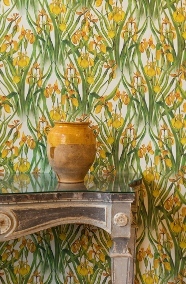 Yellow Iris Large Wallpaper