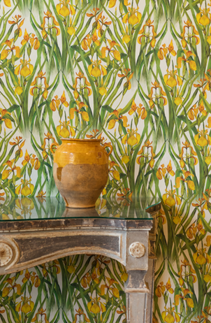 Yellow Iris Large Wallpaper