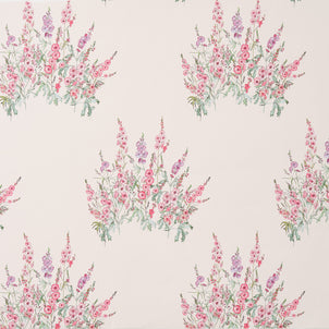 Sidalcea Bunches Wallpaper