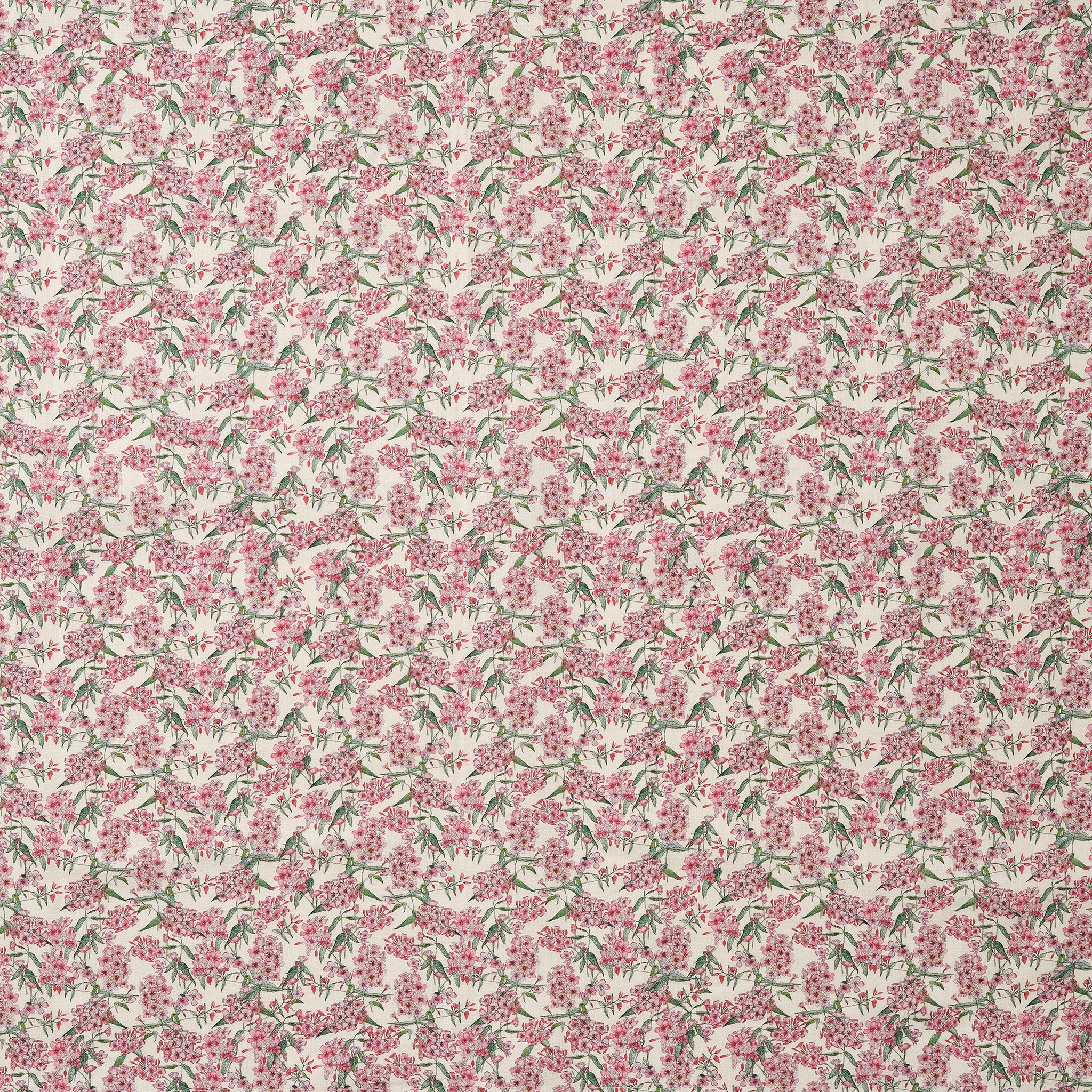 Small Pink Phlox Fabric