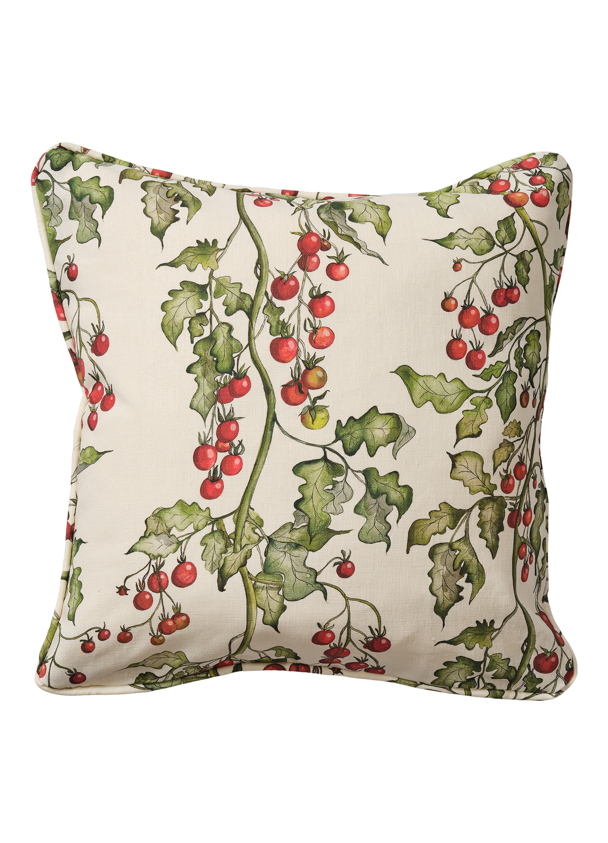 Tomato Vine Square Cushion