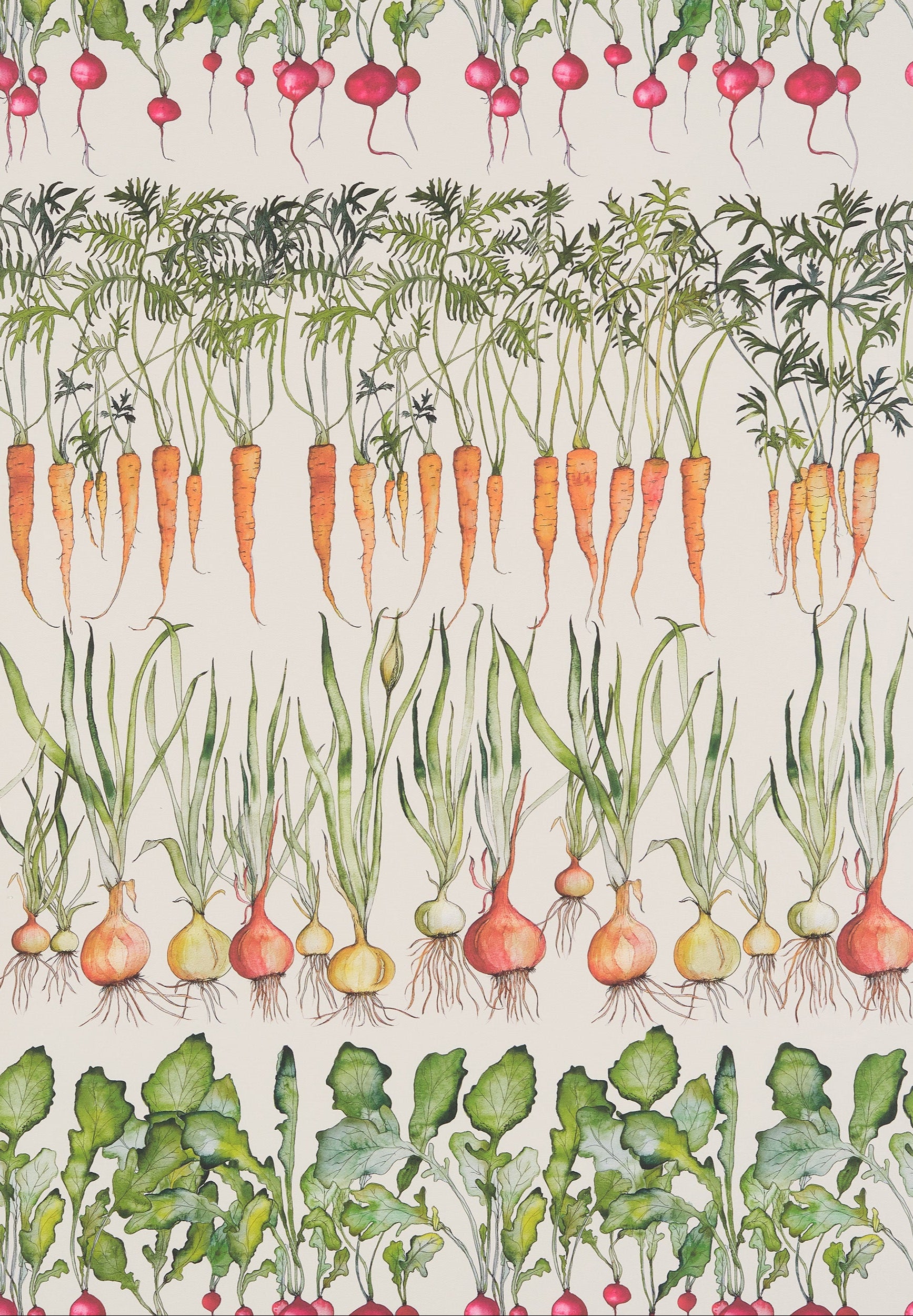 Veg Row Wallpaper