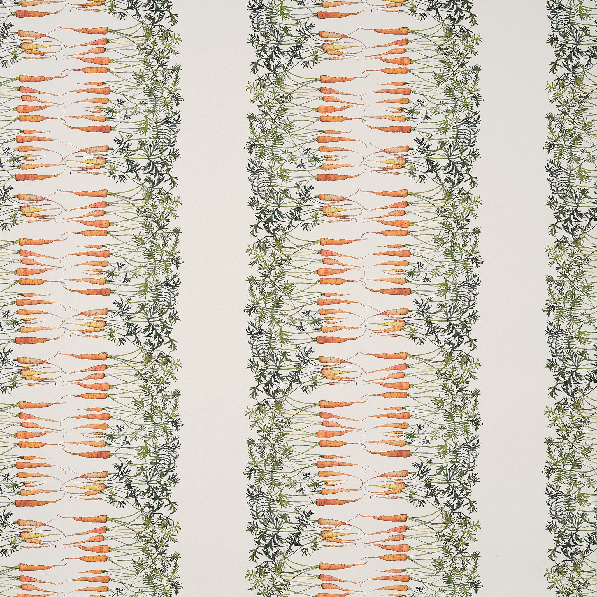 Carrot Stripe Wallpaper