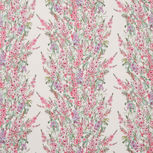 Sidalcea Wallpaper