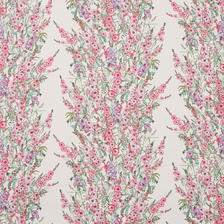 Sidalcea Wallpaper