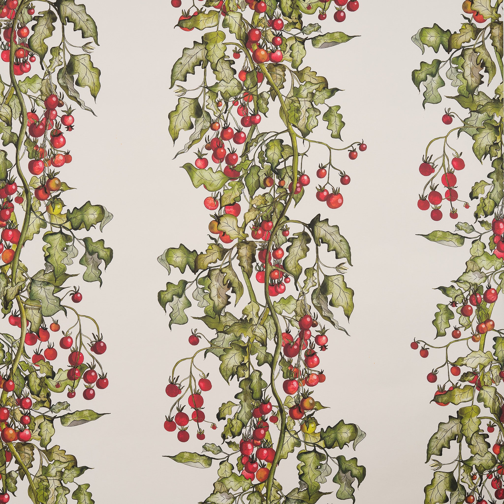 Tomato Vine stripe Wallpaper