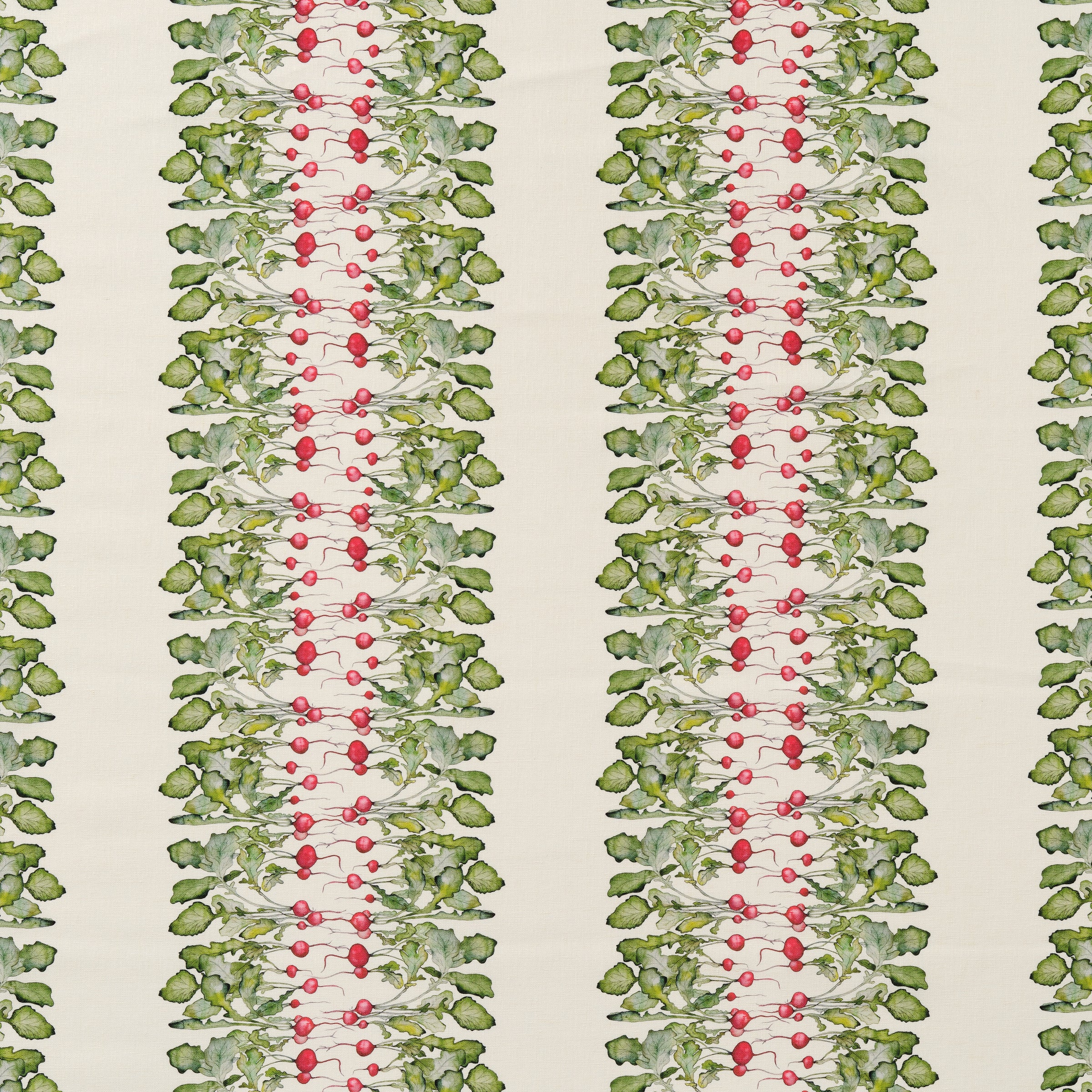 Radish Stripe Fabric