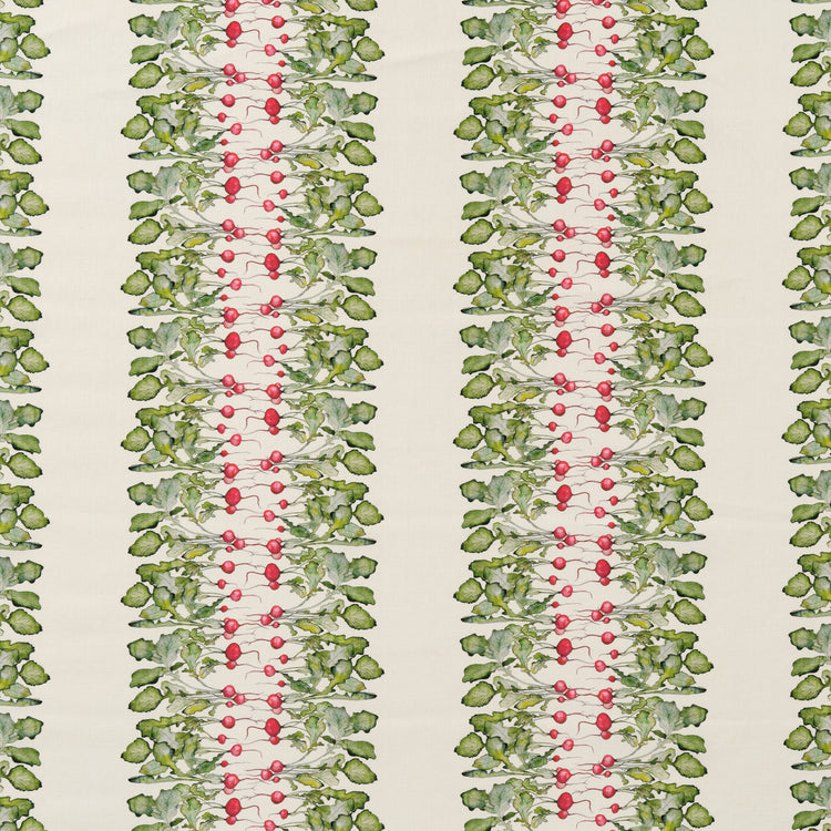 Radish Stripe Fabric